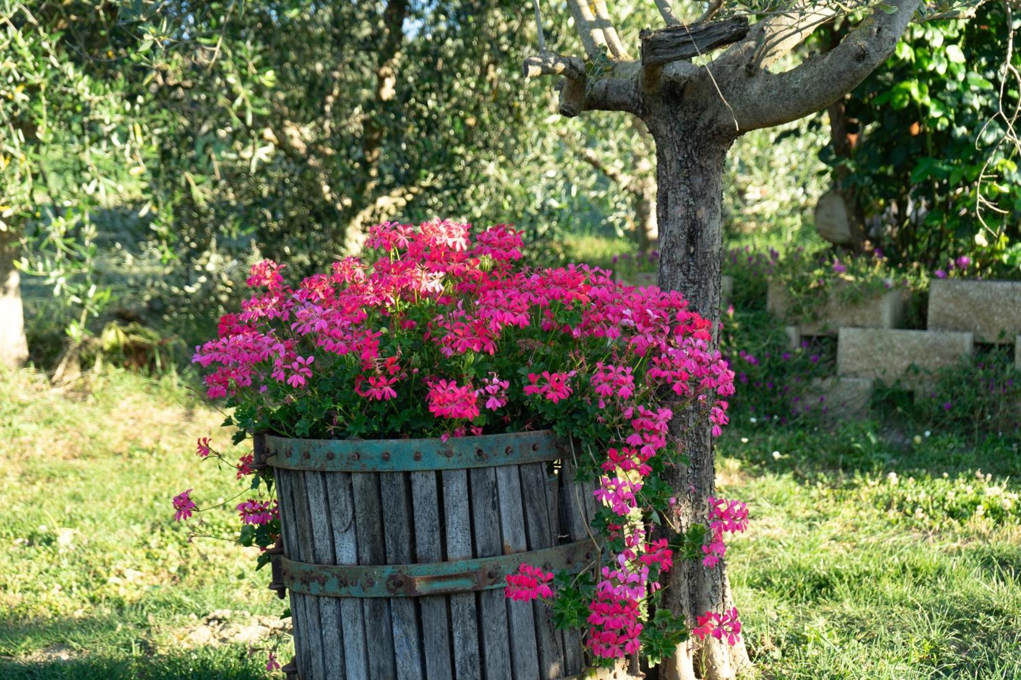 Relaxing Farmhouse San Marino Exterior foto