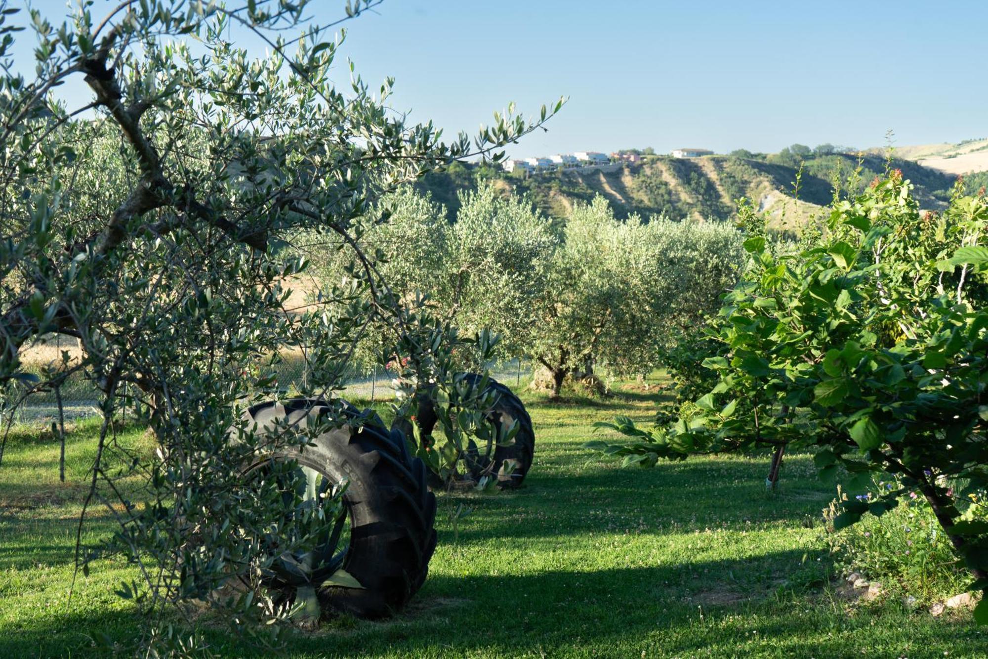 Relaxing Farmhouse San Marino Exterior foto